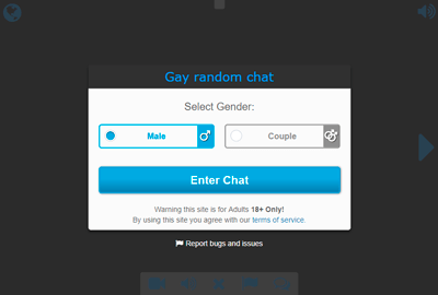 This gay random chat section allows you to... 